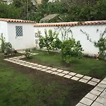 The Secret Garden In The Historic Center Napoli